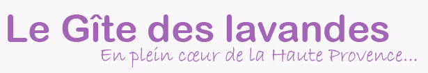 Gîte Les Lavandes La Condamine — photo 5